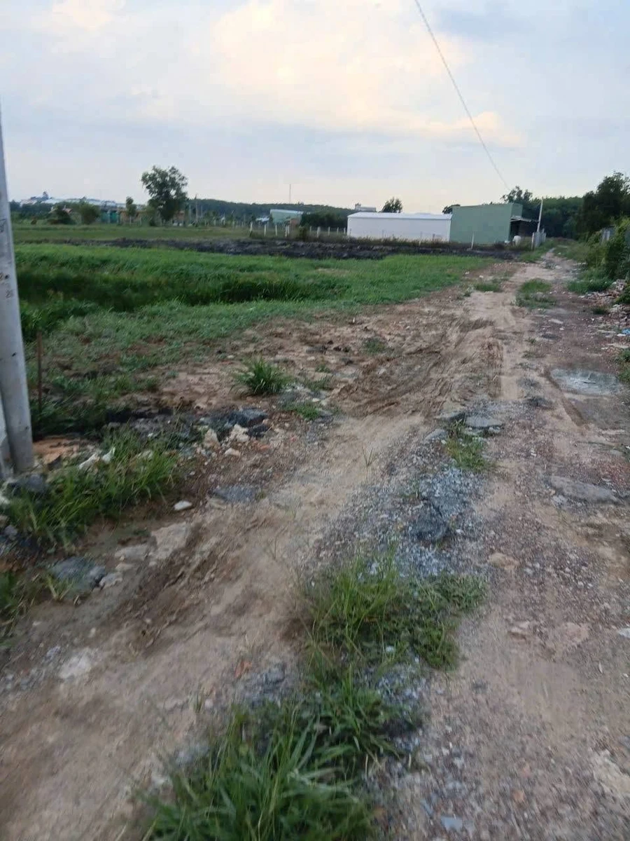 Bán đất làm nhà vườn Phú An 1.200m² - 2 tỷ - Ảnh thu nhỏ 2