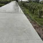 Bán đất nền mặt tiền 1.000m2 tại Bình Chánh - Ảnh thu nhỏ 3