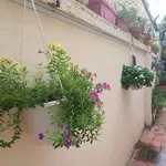 Bán nhà hẻm Phan Chu Trinh 195m, khu phố Tây 8,7 tỷ - Ảnh thu nhỏ 1