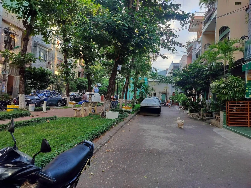 Bán nhà dòng tiền Nguyễn Ngọc Nại Hà Nội 574m² 29,5 tỷ backgroud