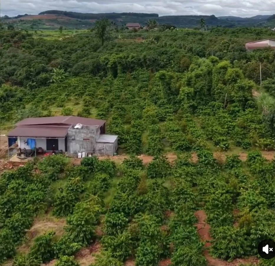 Bán đất 150 m² xã Đắk Rla, Đắk Nông - Ảnh thu nhỏ 3