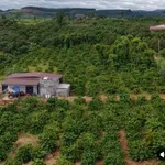 Bán đất 150 m² xã Đắk Rla, Đắk Nông - Ảnh thu nhỏ 3