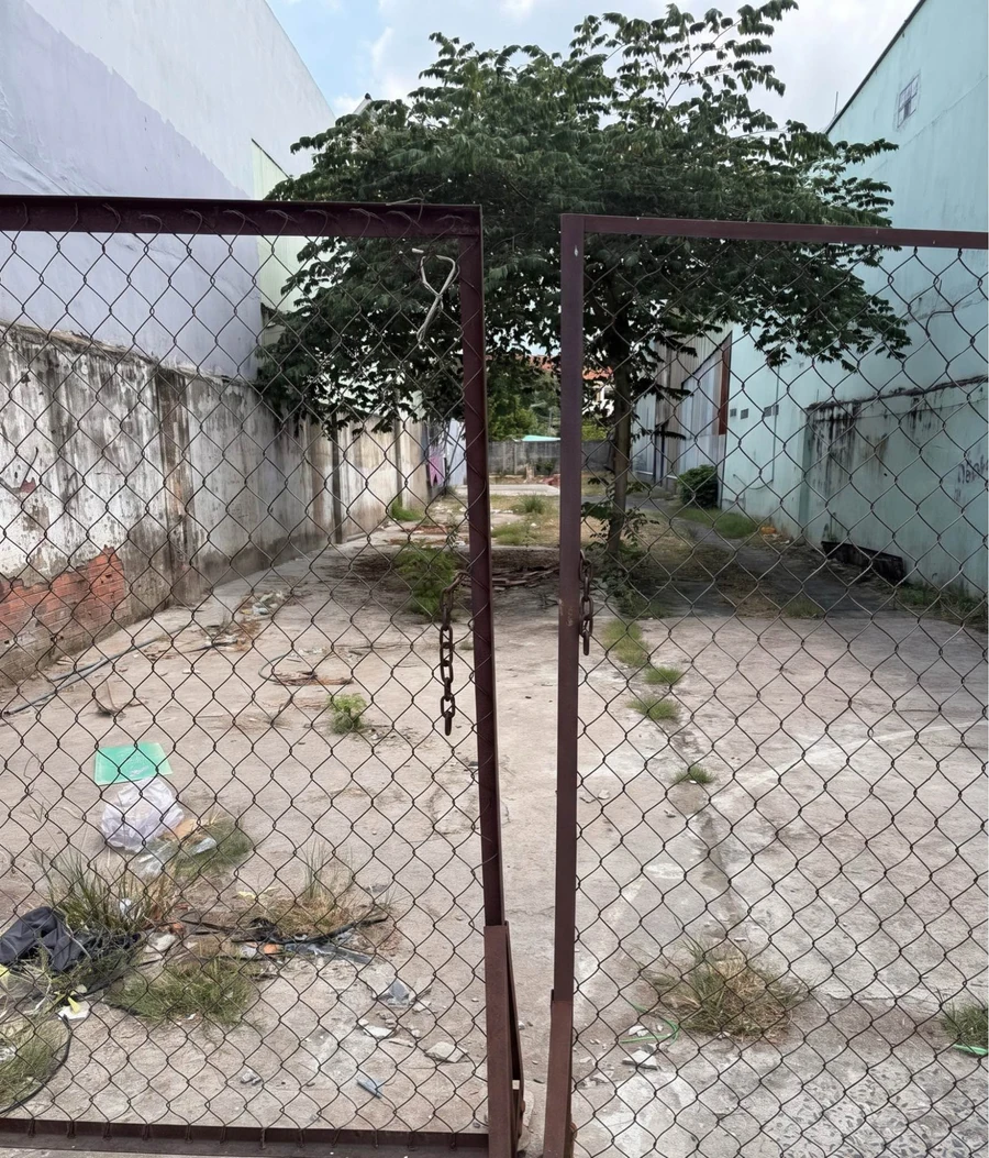 Bán lô đất mặt tiền Đinh Đức Thiện, Bình Chánh, 463m² - Ảnh 1