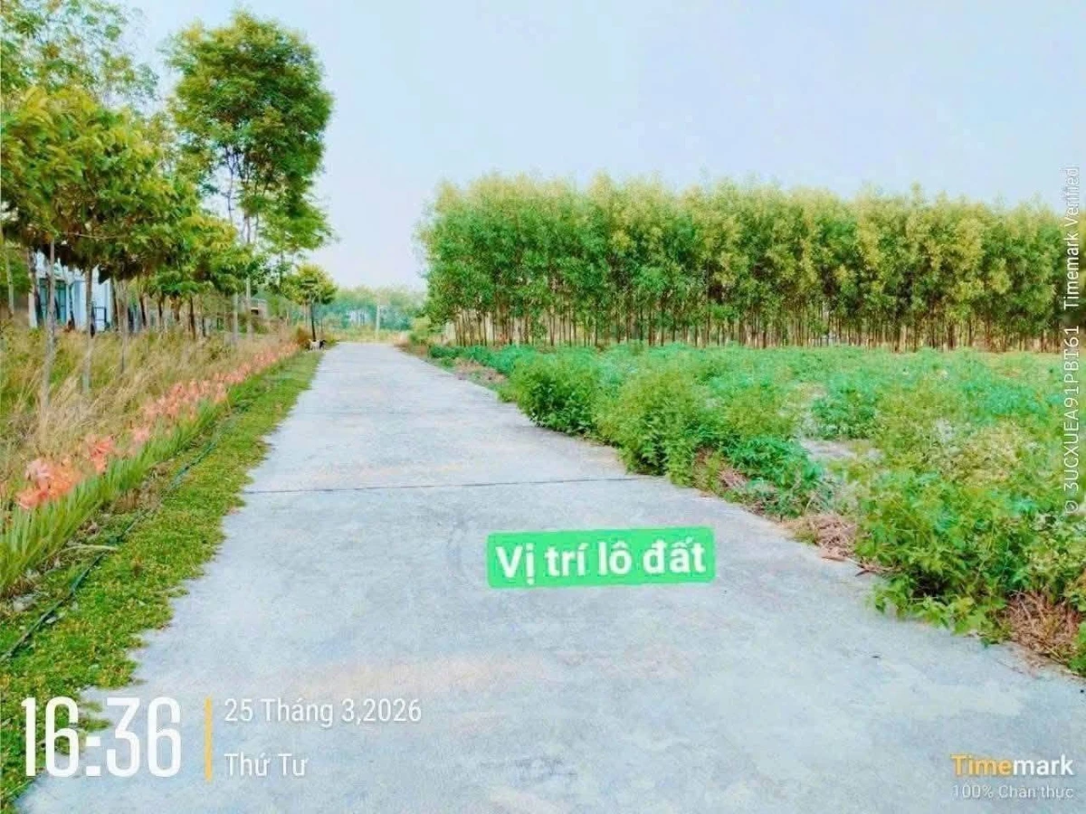 Bán đất mặt tiền 1100m² Minh Hưng Chơn Thành 630 triệu - Ảnh 1