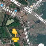 Bán đất nền 100m² sổ sẵn gần KCN Visip Tân Hòa Đồng Phú - Ảnh thu nhỏ 1