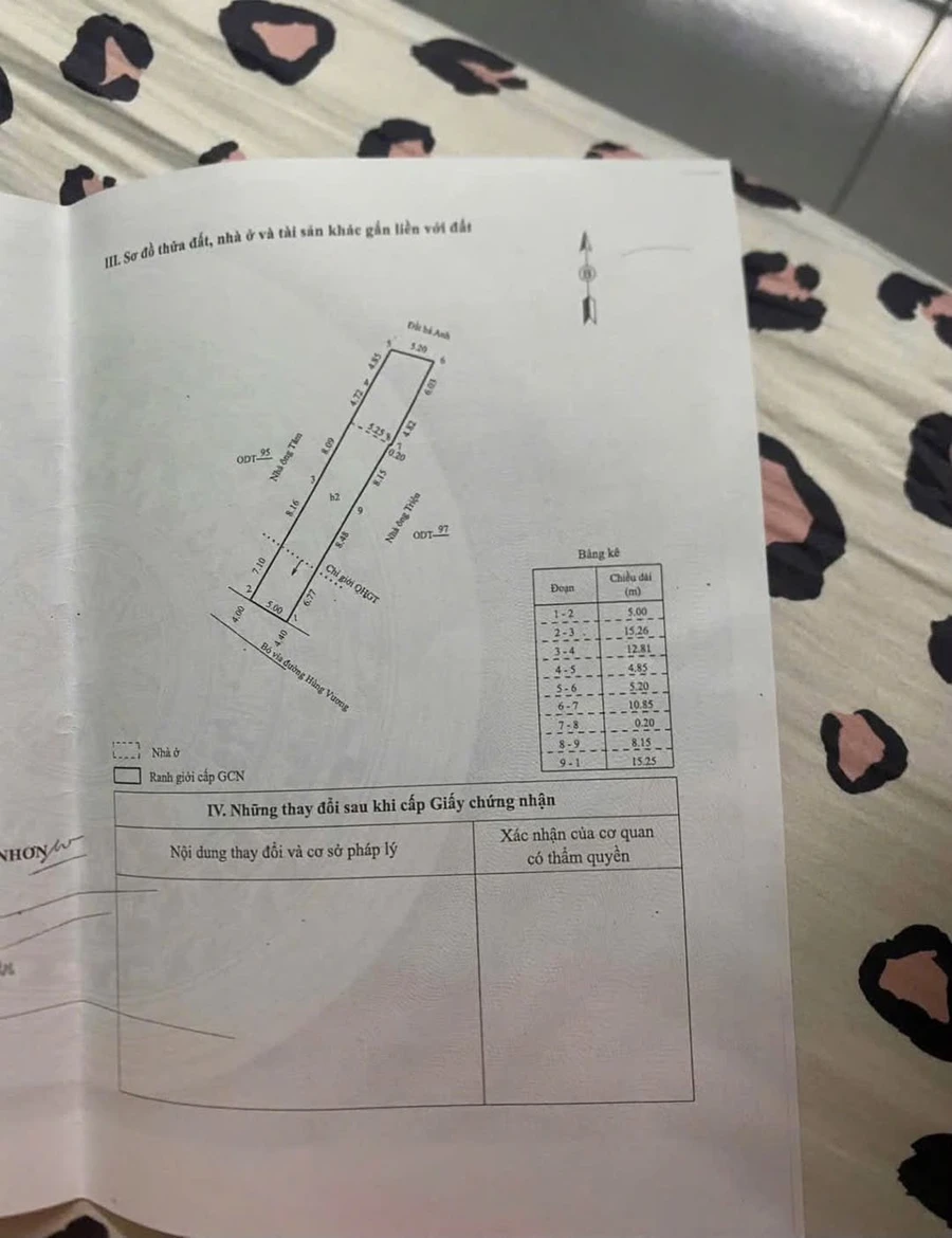 Bán nhà mặt tiền Hùng Vương 171,3m² Quy Nhơn Bắc Gia Lai - Ảnh 1