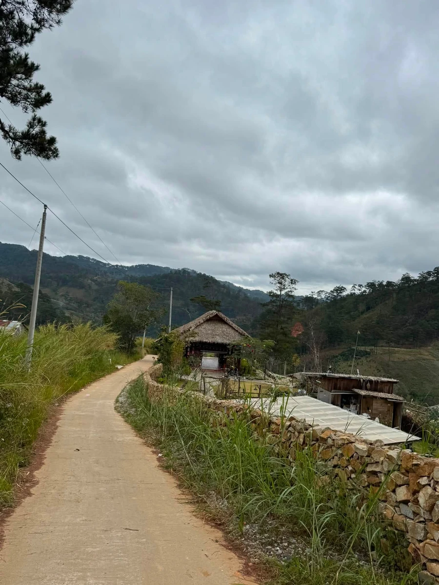 Bán 8ha đất bãi ruộng xã Đạ Sar, Lạc Dương, Lâm Đồng - Ảnh thu nhỏ 2