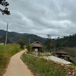 Bán 8ha đất bãi ruộng xã Đạ Sar, Lạc Dương, Lâm Đồng - Ảnh thu nhỏ 2