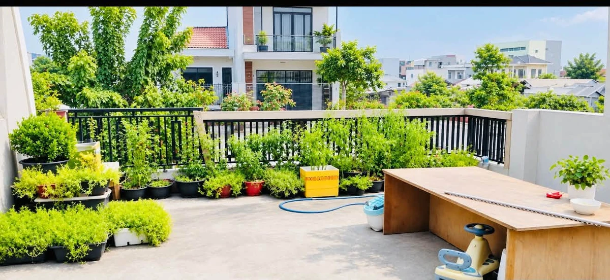 Bán nhà mặt tiền D9 KDC An Phú, Thuận An, 181,5m², 1 trệt 2 lầu, giá hơn 8 tỷ - Ảnh thu nhỏ 5