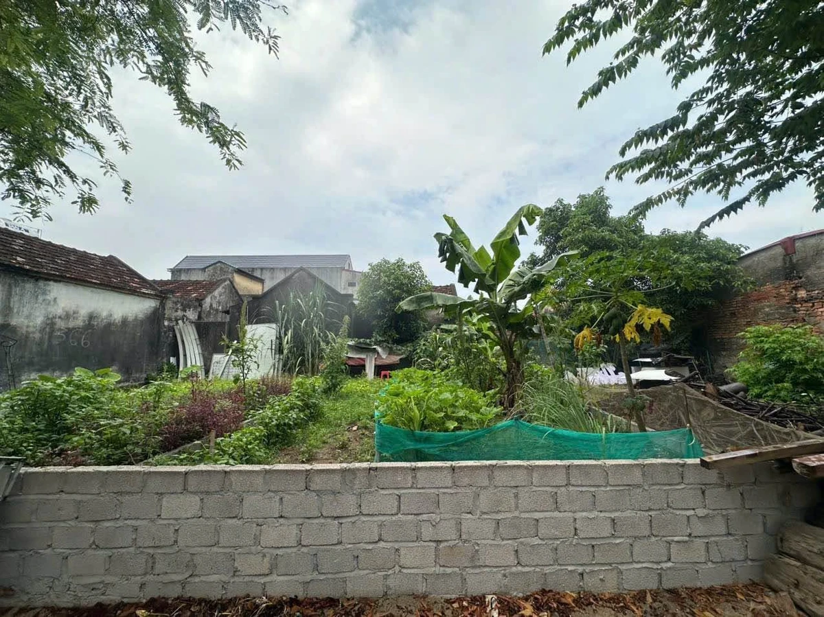 Bán đất phố Quang Trung Quảng Tâm 73m² 1,2 tỷ - Ảnh thu nhỏ 3