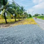 Bán đất tổ cư 65m² Gia Lộc Tây Ninh 5xx triệu - Ảnh thu nhỏ 4