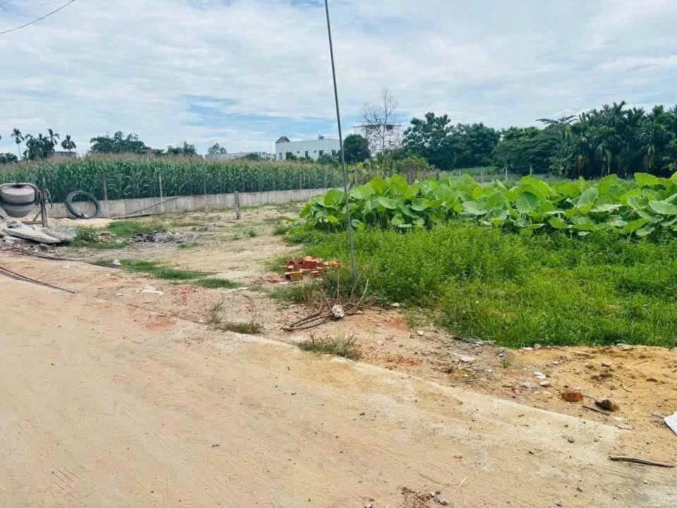 Bán lô đất hẻm 50m² Nguyễn Trãi Quận 5 - Ảnh thu nhỏ 2