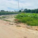 Bán lô đất hẻm 50m² Nguyễn Trãi Quận 5 - Ảnh thu nhỏ 2