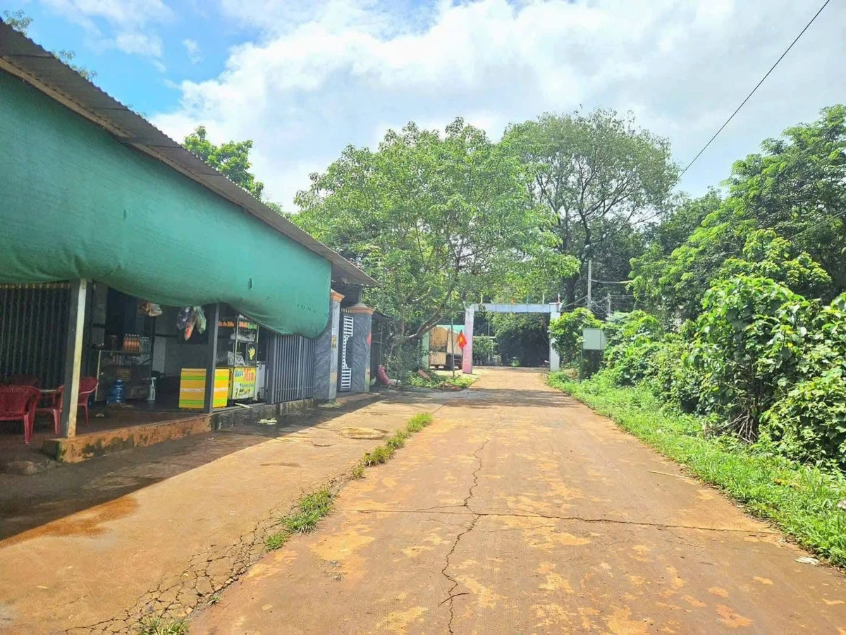 Bán vườn trái cây 250m² Tân Quan Đồng Nai - Ảnh thu nhỏ 2
