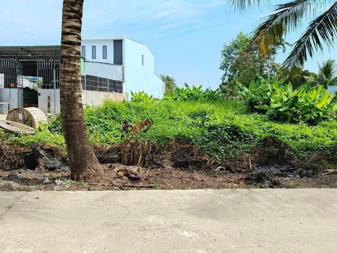 Bán đất mặt tiền Nguyễn Trung Ngạn An Bình 921.8m², 3.5 tỷ - Ảnh 1