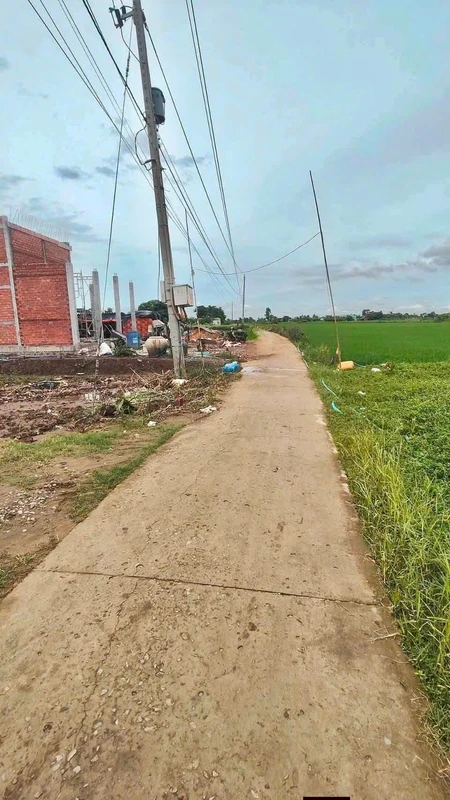 Bán đất 135m² Tân Thành Gò Công Đông, giá 240 triệu