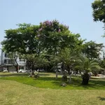 Bán nhà 4 tầng 90m² mặt tiền đường Nguyễn Suý Đà Nẵng - Ảnh thu nhỏ 1