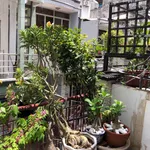 Bán nhà hẻm ô tô 50,7m2 khu Cư xá Tự Do, 2PN, sổ hồng sẵn - Ảnh thu nhỏ 3