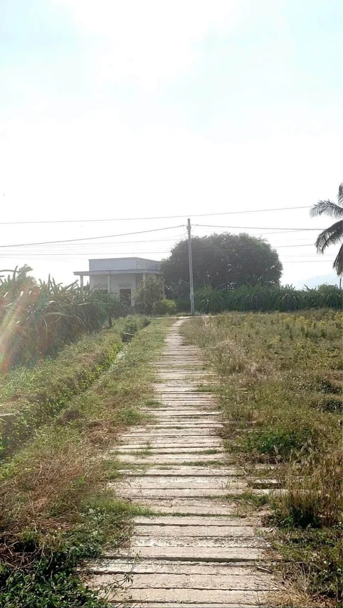 Bán nhà 300m thổ cư Hàm Chính 550 triệu - Ảnh 1