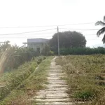 Bán nhà 300m thổ cư Hàm Chính 550 triệu - Ảnh thu nhỏ 1