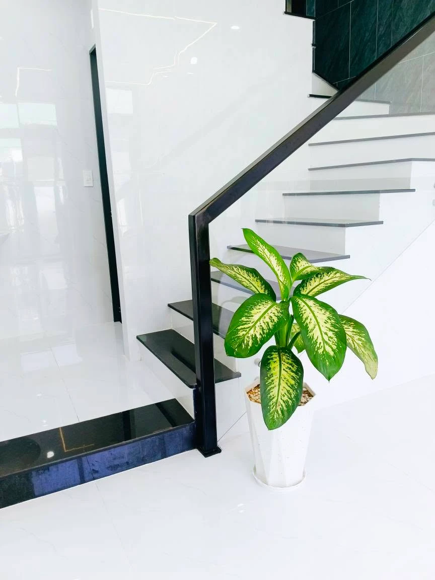 Bán nhà phố 3.5 tầng 105m² mặt tiền Quy Nhơn 2,99 tỷ - Ảnh thu nhỏ 2