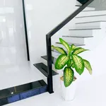 Bán nhà phố 3.5 tầng 105m² mặt tiền Quy Nhơn 2,99 tỷ - Ảnh thu nhỏ 2
