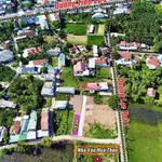 Bán đất góc 119m² tại Diên Lạc 1 tỷ 1 - Ảnh thu nhỏ 4