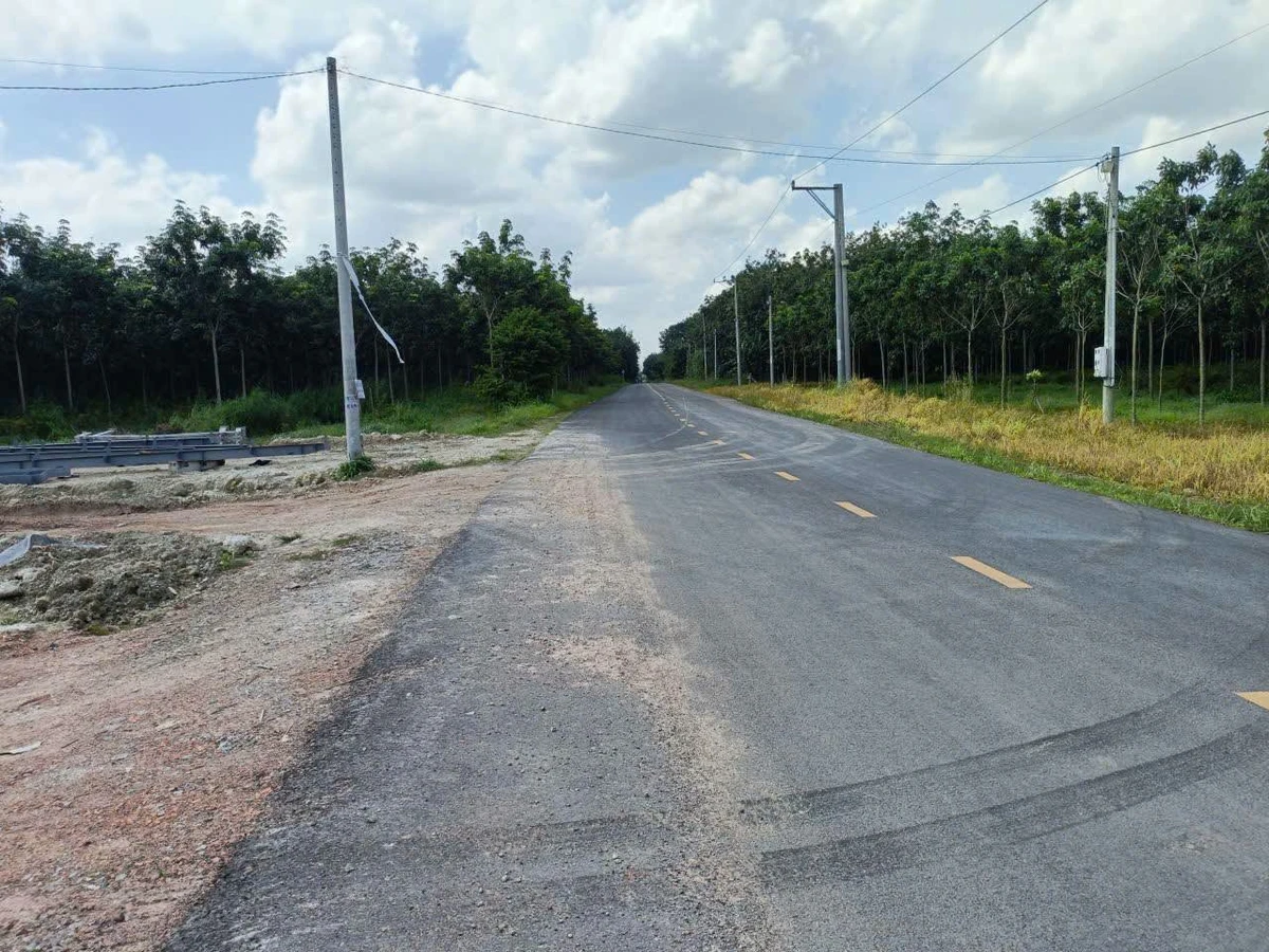 Bán đất mặt tiền 7800m² Bến Cát Bình Dương, giá 8 tỷ - Ảnh thu nhỏ 3