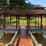 Bán 10 ha đất nông nghiệp Kon Tum, giá rẻ, 600m mặt tiền - Ảnh thu nhỏ 3
