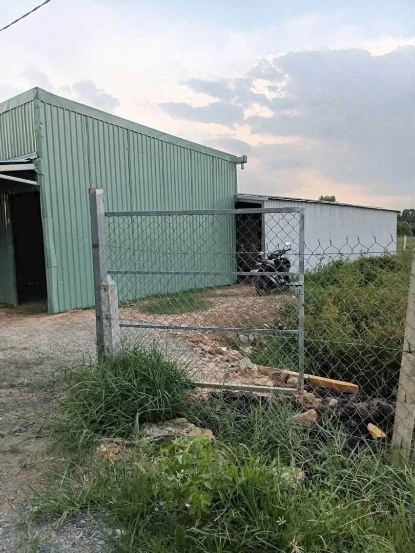 Bán đất vườn 1.156m2 đường Thanh Bình, Phường Phú An giá 2 tỷ - Ảnh thu nhỏ 4