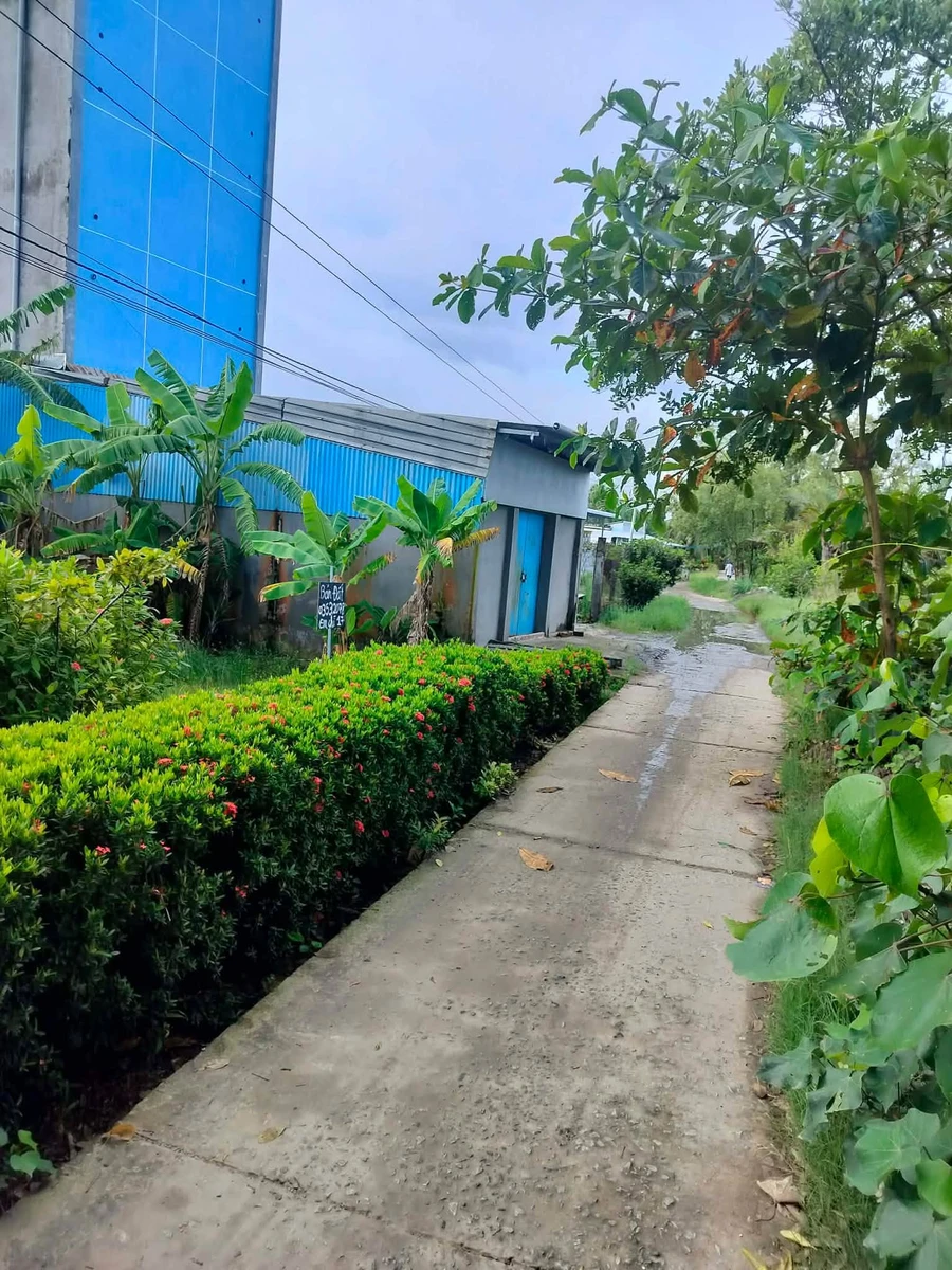 Bán nền đất Kinh Dài Tây Yên 8x30m 500 triệu - Ảnh thu nhỏ 4