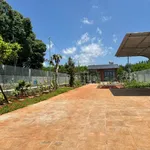 Bán nhà vườn 500m² Bà Rịa, 1 tỷ 790 triệu - Ảnh thu nhỏ 2