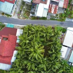 Bán vườn dừa Diên Lạc 99,5m², 960 triệu - Ảnh thu nhỏ 5
