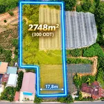 Bán đất mặt tiền Đa Phú 2.748m² giá 25,5 tỷ Cần Giờ - Ảnh thu nhỏ 3