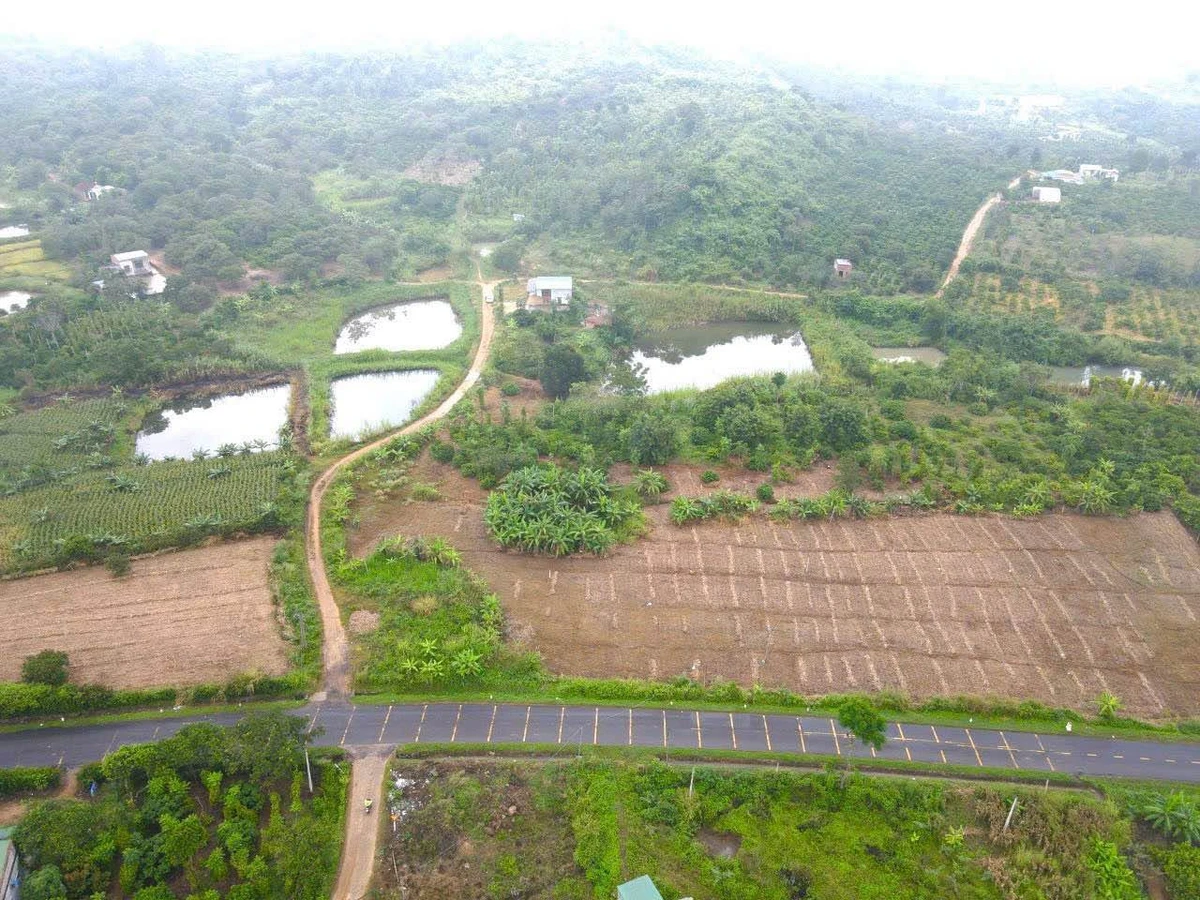 Bán đất 1.9 hecta mặt tiền Quốc Lộ 29, Krông Năng, Đắk Lắk - Ảnh thu nhỏ 2