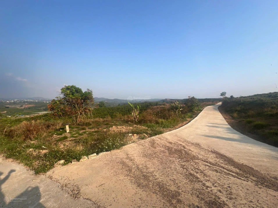 Bán 1 sào đất view săn mây đường ô tô tại Tân Hà, Lâm Hà, Lâm Đồng - Ảnh thu nhỏ 4