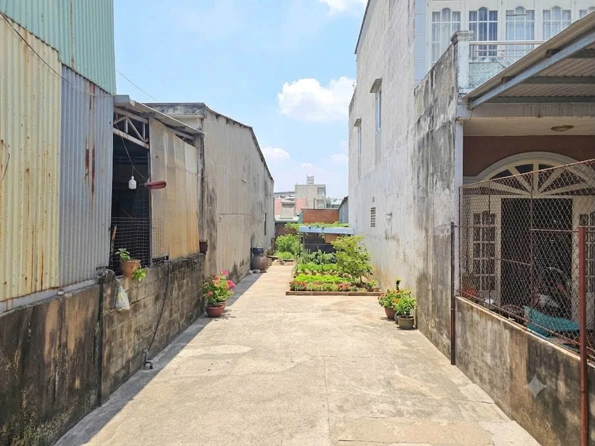 Bán đất 155m² Phạm Văn Thuận Biên Hòa 4 tỷ 500 - Ảnh thu nhỏ 5