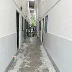 Chính chủ bán dãy trọ mới 7 phòng Hưng Lợi, 129m2 thổ cư, 2 mặt tiền giá 5,39 tỷ (41tr/m2) - Ảnh thu nhỏ 3
