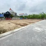 Đất trung tâm phường, cách trục chính chỉ 50m, tại Thủy Nguyên chỉ 390 triệu - Ảnh thu nhỏ 7