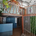 Cho thuê nhà mặt tiền 110m² Rạch Giá 8 triệu/tháng - Ảnh thu nhỏ 1