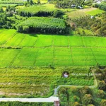 980tr, 1000m2 có thổ cư gần hết đất, gần dự án KCN Hiệp Thạnh, đường bê tông - Ảnh thu nhỏ 8