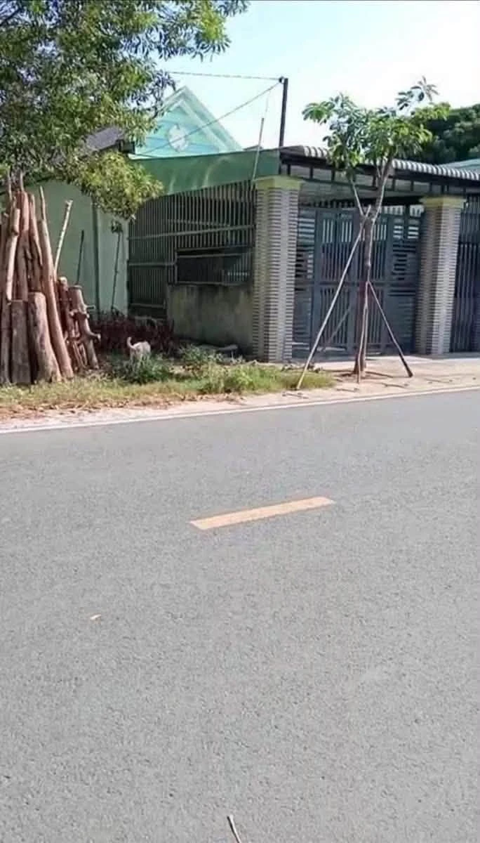 Bán lô đất 1000m², ngang 10m, Phú An, Bình Dương, 3 tỷ 4 - Ảnh thu nhỏ 2