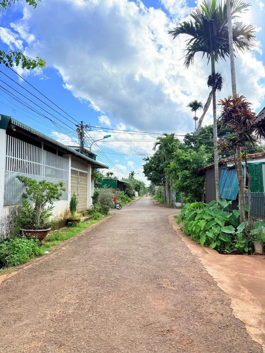 Bán lô đất 6x28m (168m²) tại Buôn Jư, Phường Tân An, giá 2 tỷ 290 - Ảnh thu nhỏ 2