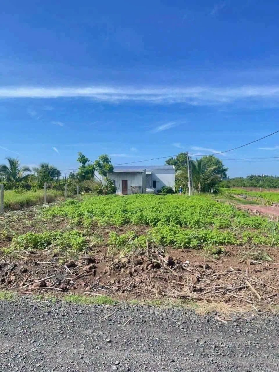 Bán đất nền 360m2 giá 225 triệu tại Buôn Đôn, Đắk Lắk - Ảnh thu nhỏ 2