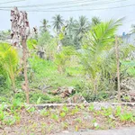 Bán nền mặt tiền 100m² An Hội, Bến Tre, 550 triệu - Ảnh thu nhỏ 2