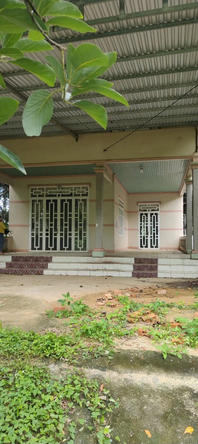 Bán 2 hectare đất cao su Nha Bích Chơn Thành tặng nhà - Ảnh thu nhỏ 5