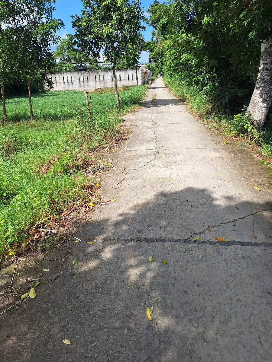 Bán nhà và đất hơn 1 công, 500m² nền tại bến Vựa, xã Vĩnh Hòa, Vĩnh Long giá 720 triệu - Ảnh thu nhỏ 2
