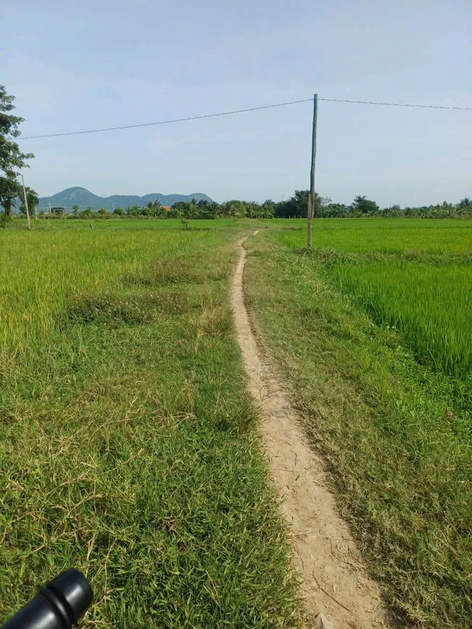 Bán đất 2 sào 6 giá 145 triệu Bình Thuận - Ảnh 1