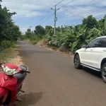 Bán đất 8 sào Bàu Lâm Xuyên Mộc 7 tỷ - Ảnh thu nhỏ 2