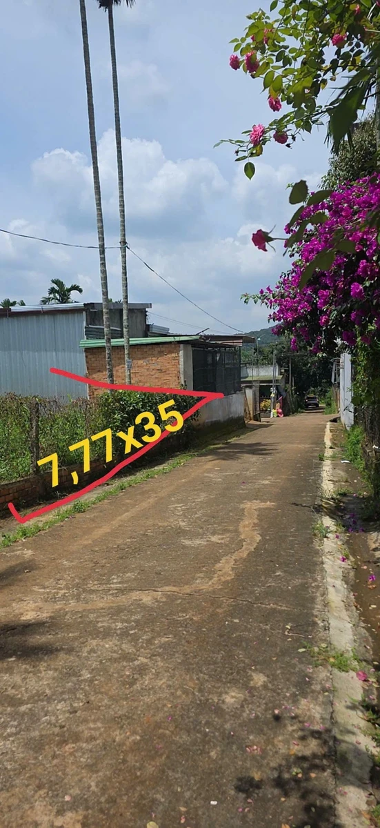 Bán đất Thôn 7 Ea Tiêu Cũ 272m² 1 tỷ 100 triệu - Ảnh 1
